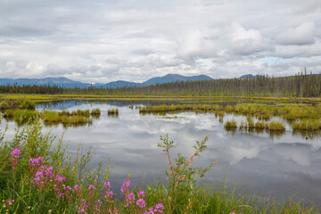 Wall Mural - Lake in Canada