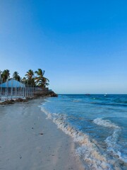 Poster - Beach scene with foaming waves and tall palm trees against an azure sky in Tanzania, Zanzibar