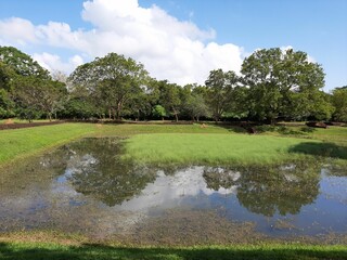 Poster - Scenic outdoor landscape featuring a lush grassy area with trees reflected in water