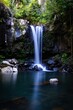 Scenic jungle waterfall in a lush green forest environment on a sunny day