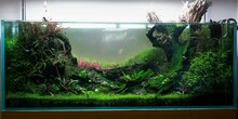 AI Generated Illustration Of An Aquarium With Aquatic Plants And Rocks Covered In Lush Green Moss