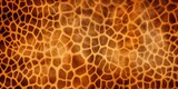 Fototapeta  - giraffe texture pattern seamless repeating brown burgundy white orange.