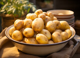 Fototapeta Dmuchawce - Potatoes vegetable photography healthy food