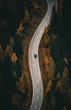 Aerial view of car driving through the autumn forest on country road.