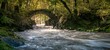 © Wirestock - Tranquil river flowing under the Penmachno Bridge in a lush forest