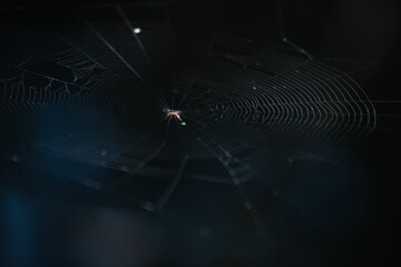 a spider web that is hanging in the dark with some sunlight