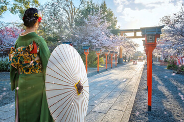 Wall Mural - Young Japanese woman in traditional Kimono dress strolls at  Hirano-jinja Shrine during full bloom cherry blossom season