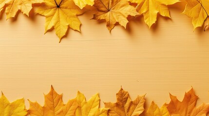 Wall Mural - Beautiful autumn background with fallen leaves on a yellow background