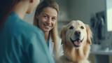 Fototapeta Przestrzenne - A beautiful female vet nurse doctor examining a cute happy golden retriever dog making medical tests in a veterinary clinic. Veterinarian concept.