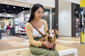 Poster - Woman go out with her dachshund dog at shopping mall