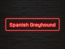 Spanish Greyhound のネオン文字
