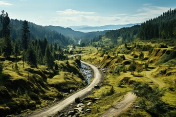 Wall Mural - road that crosses the forest