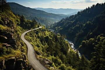 Wall Mural - road that crosses the forest