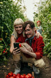 © La Famiglia - A bonding loving family happily picking fresh, organic tomatoes in their greenhouse and using a phone.