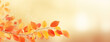 Abstract background with autumn leaves, Autumn background with leaves on a sunny day