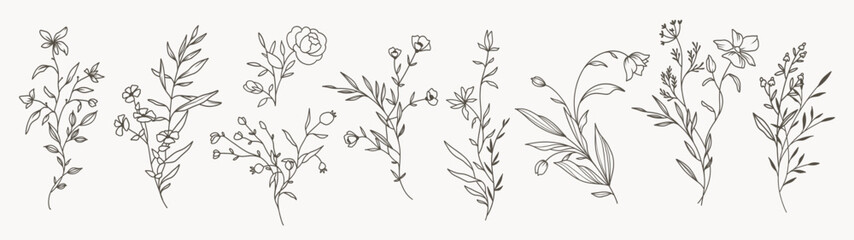 Minimal drawn floral botanical line art. Bouquets. Trendy elements of wild and garden plants, branches, leaves, flowers, herbs. Vector illustration for logo or tattoo, invitation, save the date, card