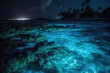 Illumination of plankton at Maldives, bio luminescence,