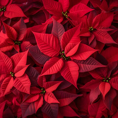 Wall Mural - Abstract background with red Poinsettia leaves. Square composition.