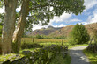 A lane along the bottom of the Great Langdale Valley in the Lake District