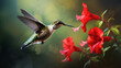 Ruby-throated hummingbird (Archilochus colubris) in flower.