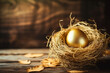 Golden egg opportunity, concept of wealth, a chance to be rich in investment success and retirement planning with egg in bird nest on old wood