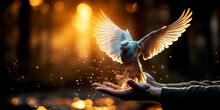 Hand Release A White Dove With Freedom And Peace Concept Background
