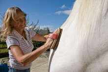 Mature Woman Brushing A Horse
