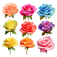 Wall Mural - Collection of colorful roses on PNG transparent background for Valentine's Day and Valentine's Day decorations.