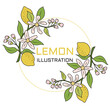 Fresh lemons from the citrus family with buds and flowers on a branch. The plant beautifully wraps around a round frame. Isolated vector image on white background.