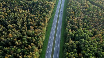 Wall Mural - Road traffic, aerial view. Highway at forest with trees in autumn. Cars and truck in motion on highway. Aerial above view of freeway. Asphalt road with transport, top view. Semi truck on Motorway.
