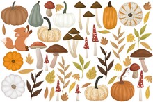 Big Collection Of Pumpkins, Mushrooms, Leaves And Foxy. Autumn Season Items Illustration.