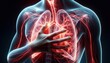 Human Respiratory Health Lung Anatomy