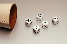 Still Life Five White Dice And Leather Cup On White Background
