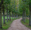 Path with trees