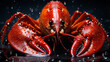red lobster on white HD 8K wallpaper Stock Photographic Image