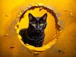 A curious black cat peeks through a torn hole in a bright yellow background