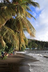 Wall Mural - Guadeloupe black sand beach