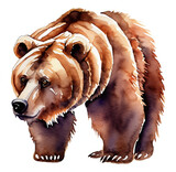 Namalowany niedźwiedź brunatny ilustracja