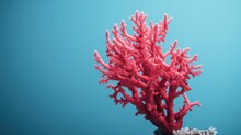  A Close Up Of A Red Coral On A Blue Background With A Small Amount Of Water In The Foreground.  Generative Ai