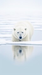 Canvas Print -  a large white polar bear standing on top of a large ice floese covered in snow next to a body of water.  generative ai