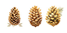 Hand Painted Illustration, Christmas Gold Pine Cone Isolated White Background