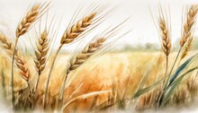 Wheat Grain In The Field, Close-up, Painting, Watercolor Style.