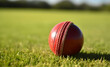 A shiny red cricket ball on lush green grass, epitomizing the spirit of the sport.
