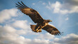 Golden Eagle Soaring in Open Skies, Generative AI