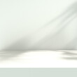 © C.Castilla - Fondo de suelo y pared vacíos iluminados por luz del sol y sombras de plantas. Fondo para presentación de productos.