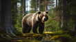 Grizzly Bear in North American Forest, Generative AI