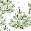 Christmas seamless pattern, robin birds, green pine trees, stars, white background. Vector illustration. Nature design. Season greeting. Winter holidays