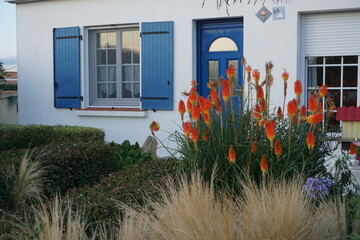 Wall Mural - beach house with flowers in garden on the West coast of France