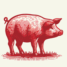 Red Pig Silhouette For Meat Industry Or Farmers Market Hand Drawn Stamp Effect Vector Illustration