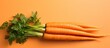 Eating a diet rich in vegetables like carrots not only promotes healthy skin teeth and overall nutrition but also provides essential vitamins antioxidants and nutrients that are beneficial 